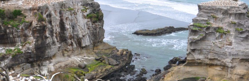 coastline-at-the-muriwai-gannet-colony-waitakere-new-zealand-pic-2