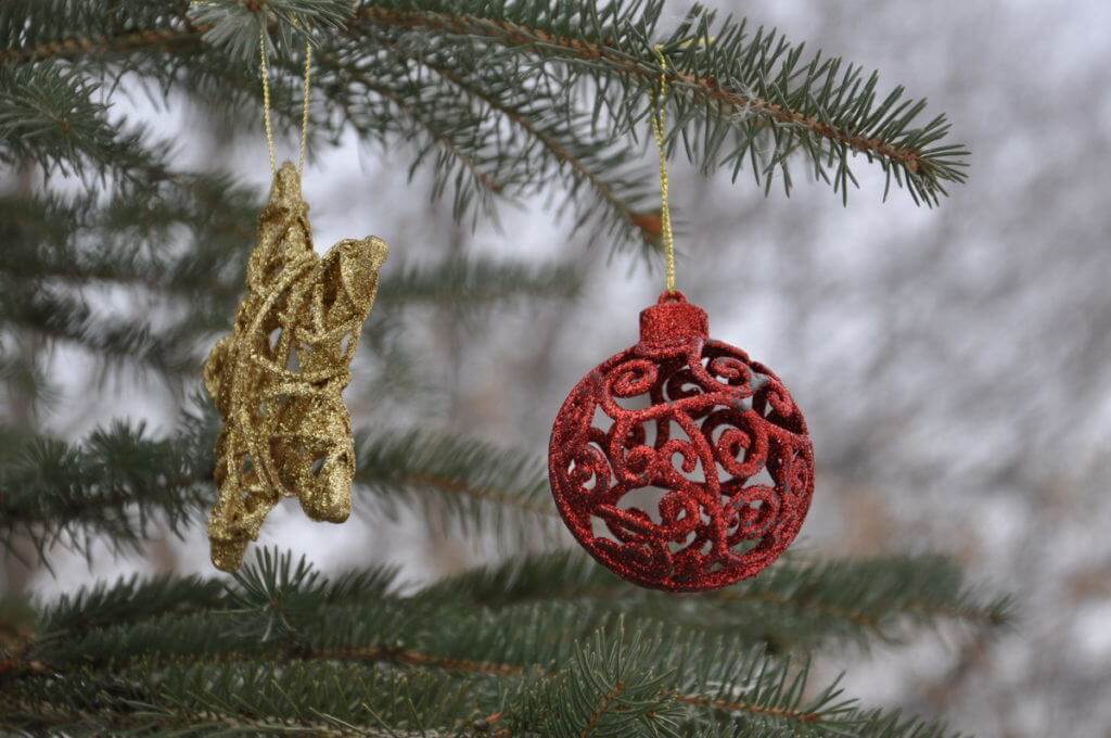 decorations-on-the-christmas-tree-at-lynde-shores-conservation-area-whitby-ontario-1
