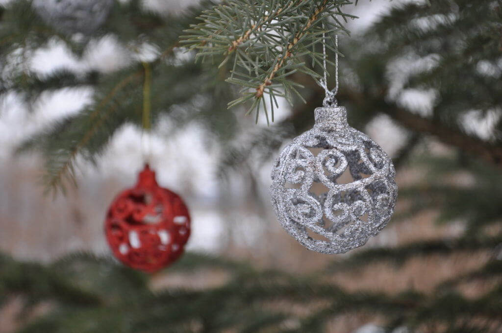 decorations-on-the-christmas-tree-at-lynde-shores-conservation-area-whitby-ontario-2