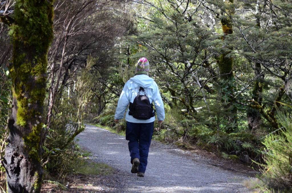 An image of Jean hiking on the Tawhai Falls hiking trail in Tongariro National Park in New Zealand. Photography by Frame To Frame - Bob and Jean.