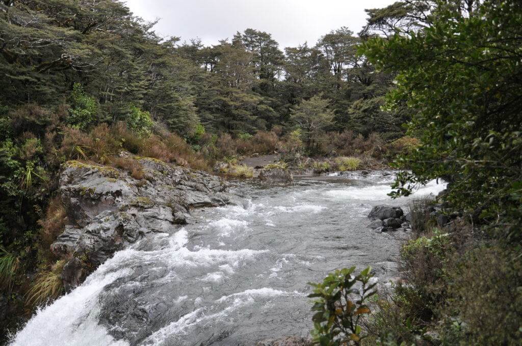An image of water flowing above Tawhai Falls in Tongariro National Park in New Zealand. Photography by Frame To Frame - Bob and Jean.