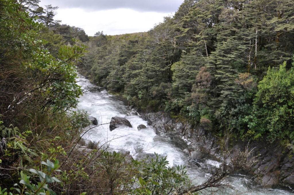 An image of the Whakapapanui Stream in Tongariro National Park in New Zealand. Photography by Frame To Frame - Bob and Jean.