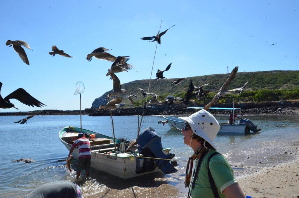 An image of birds flying above Jean in the harbour on Isla Isabel off San Blas, Mexico. Photography by Frame To Frame - Bob and Jean.