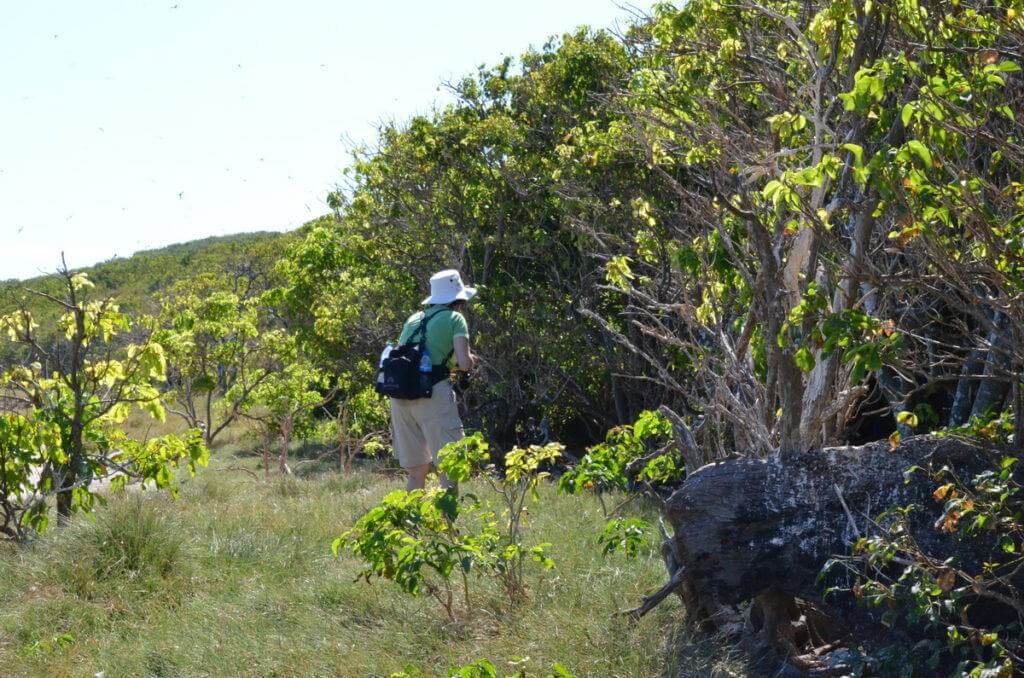 An image of Jean searching for birds on Isla Isabel off San Blas, Mexico. Photography by Frame To Frame - Bob and Jean.