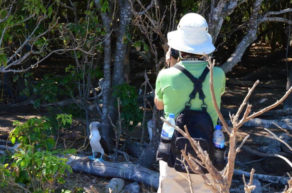 An image of Jean taking a picture of a blue-footed booby on Isla Isabel off San Blas, Mexico. Photography by Frame To Frame - Bob and Jean.