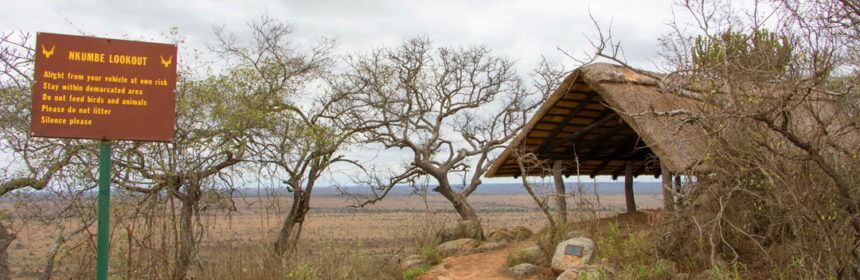 An image of Nkumbe Lookout in Kruger National Park in South Africa.