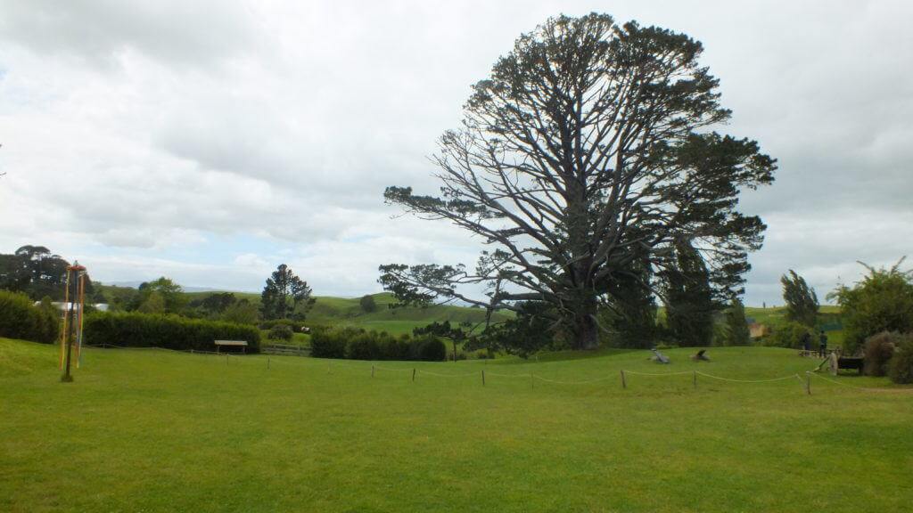 An image of the Party field at Hobbiton in New Zealand. Photography by Frame To Frame - Bob and Jean.