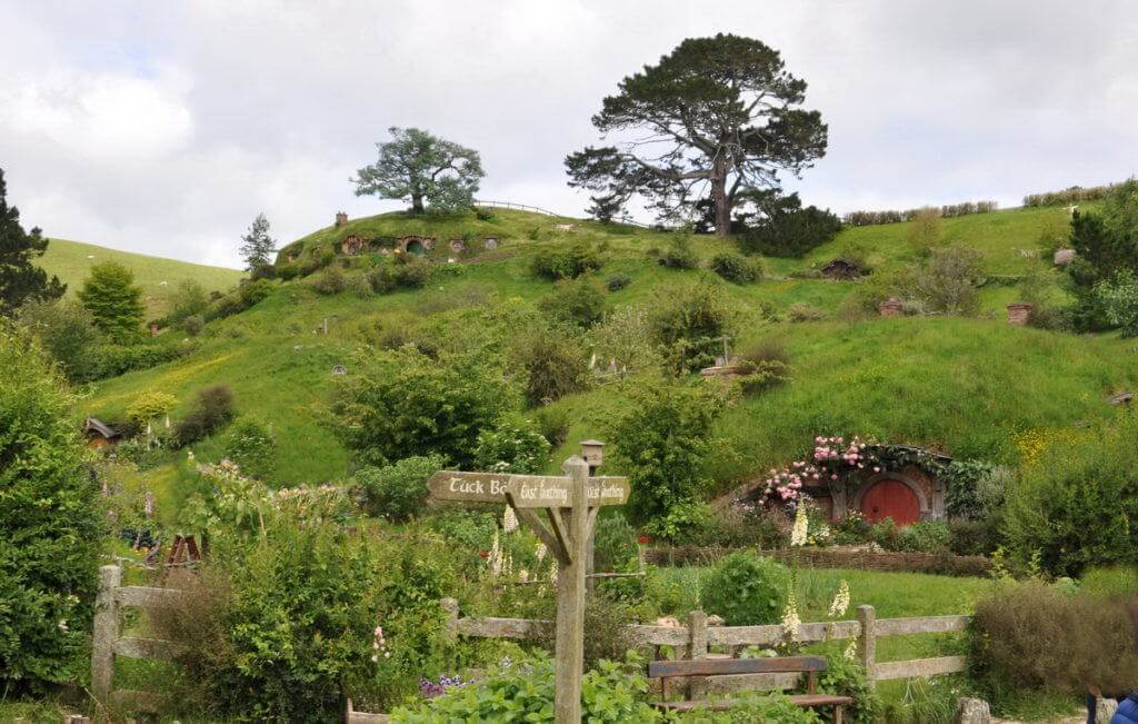 An image of the Party tree sitting on a hill high above the Shire at Hobbiton in New Zealand. Photography by Frame To Frame - Bob and Jean.