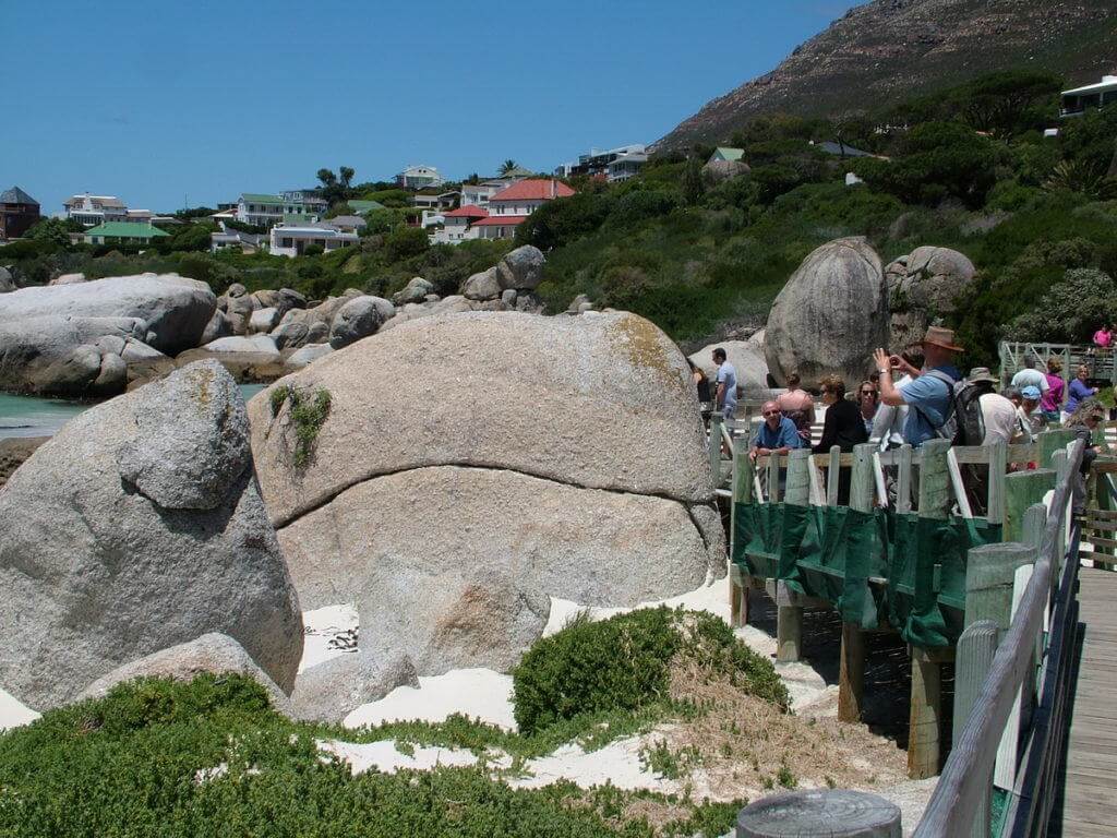 penguin viewing area at boulders beach, table mountain national park, south africa