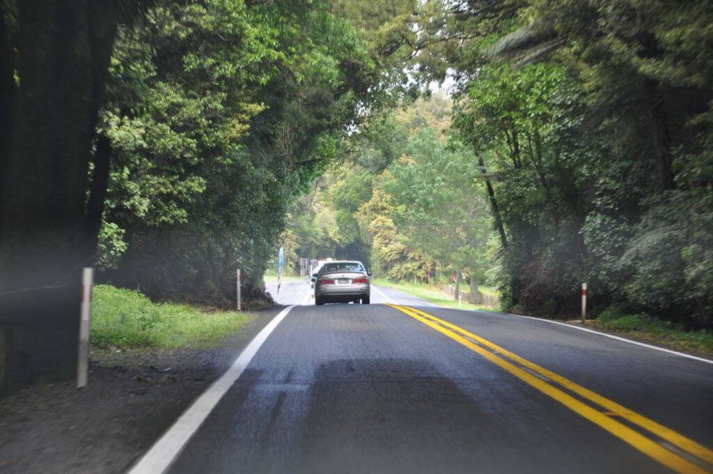 An image of the highway which leads through forests to Hobbiton in New Zealand. Photography by Frame To Frame - Bob and Jean.