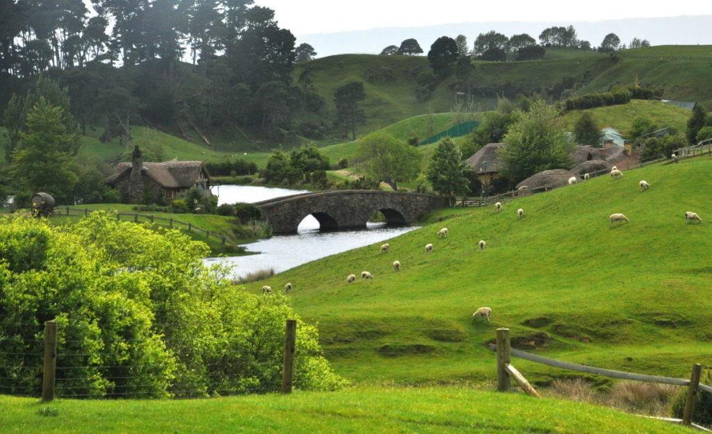 An image of sheep on a green field beside the stone bridge at Hobbiton in New Zealand. Photography by Frame To Frame - Bob and Jean.