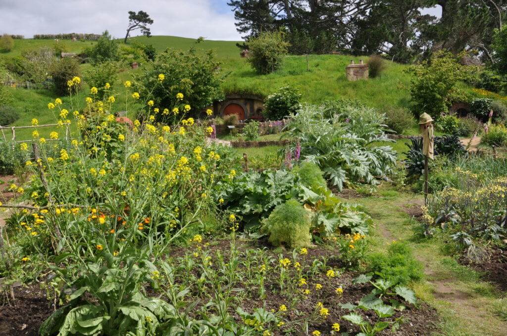 An image of the community garden filled with various flowers and plants at Hobbiton in New Zealand. Photography by Frame To Frame - Bob and Jean.