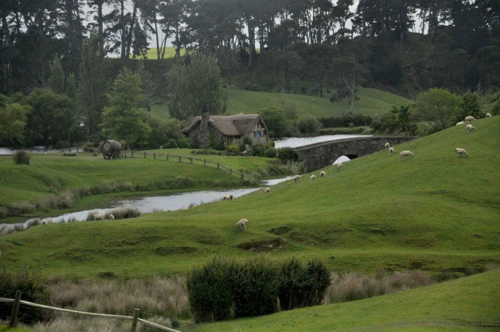 An image of the green fields covered in sheep sitting in front of the old watermill at Hobbiton in Matamata, New Zealand. Photography by Frame To Frame - Bob and Jean