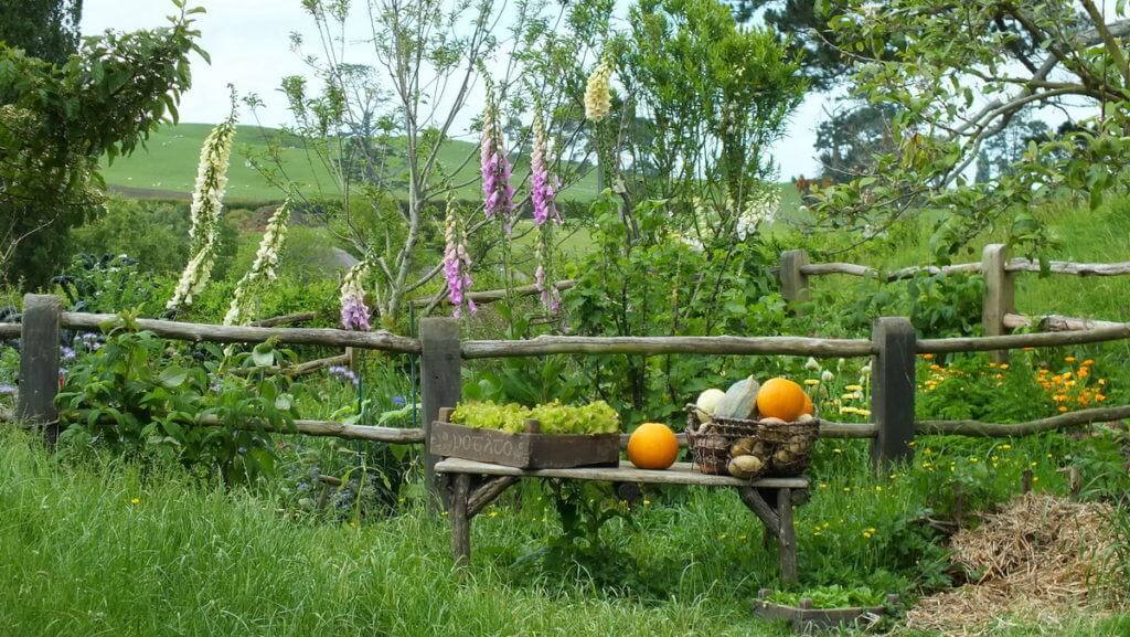 An image of a various vegetables sitting on a bench beside a garden at Hobbiton in Matamata, New Zealand. Photography by Frame To Frame - Bob and Jean