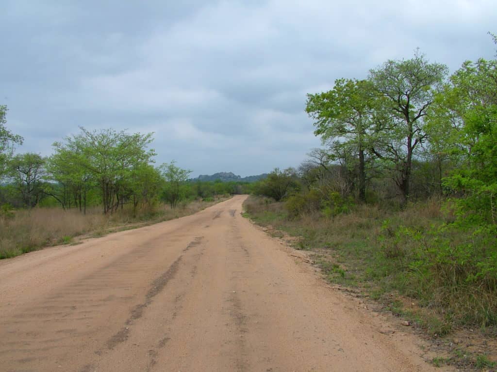 An image of a dirt road in Kruger National Park, South Africa. Photography by Frame To Frame - Bob and Jean.