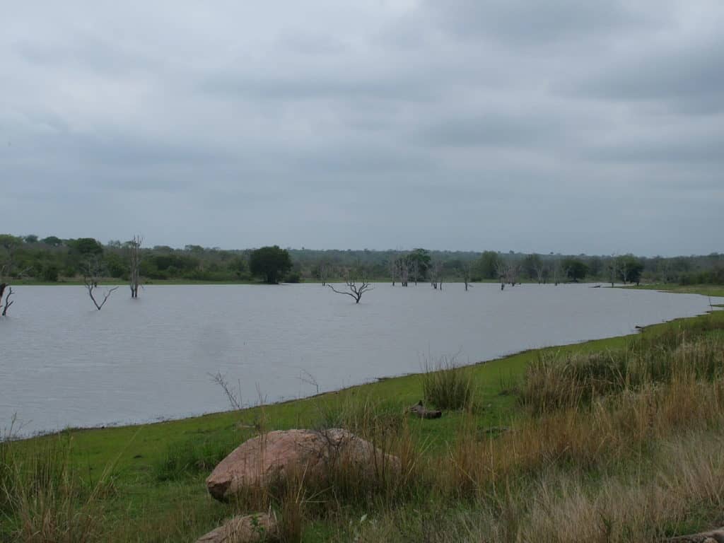 An image of Mpondo Dam in Kruger National Park, South Africa. Photography by Frame To Frame - Bob and Jean.
