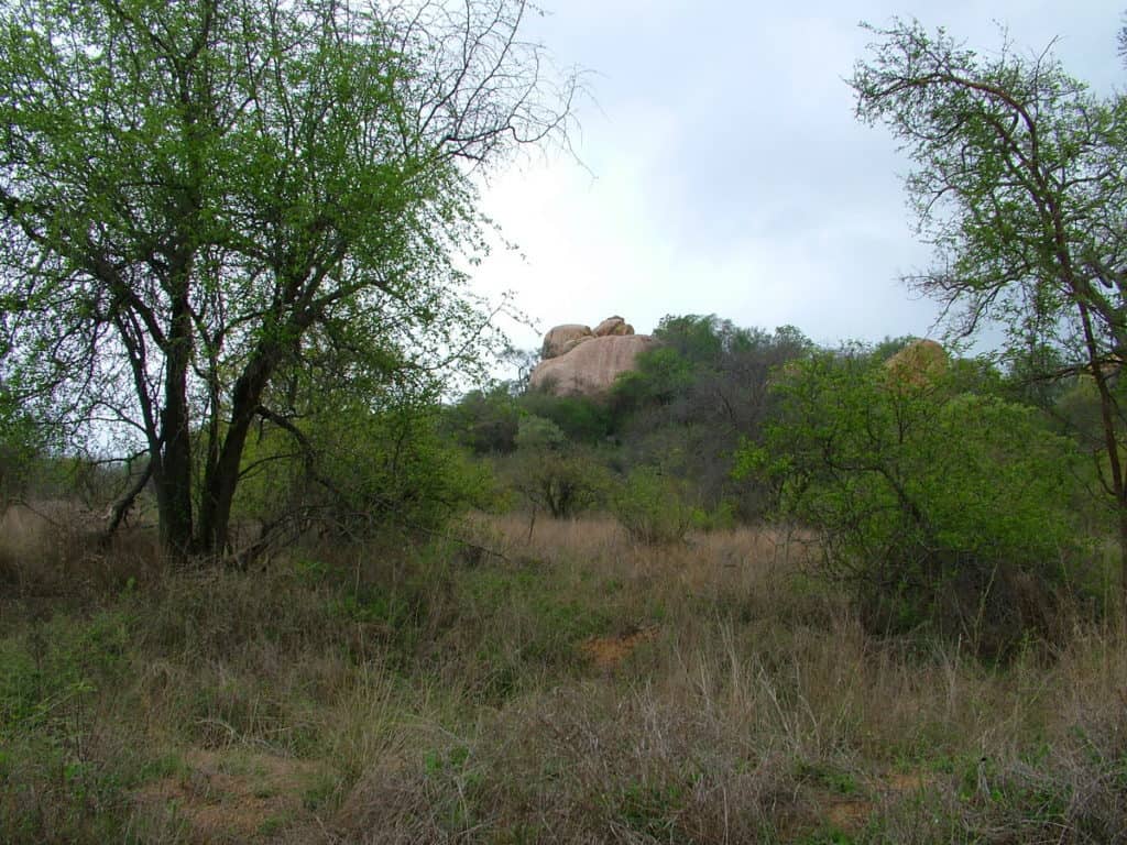 An image of Shirimantanga Hill in Kruger National Park, South Africa. Photography by Frame To Frame - Bob and Jean.