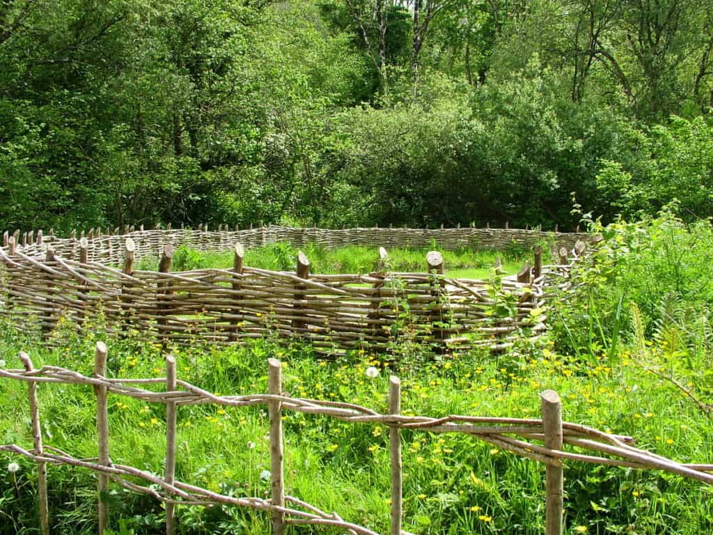 a wattle enclosure at Irish National Heritage Park in Ireland