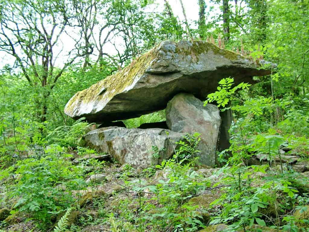 a stone age tomb at Irish National Heritage Park in Ireland