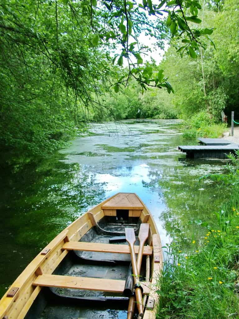 wetlands at Irish National Heritage Park, Ireland
