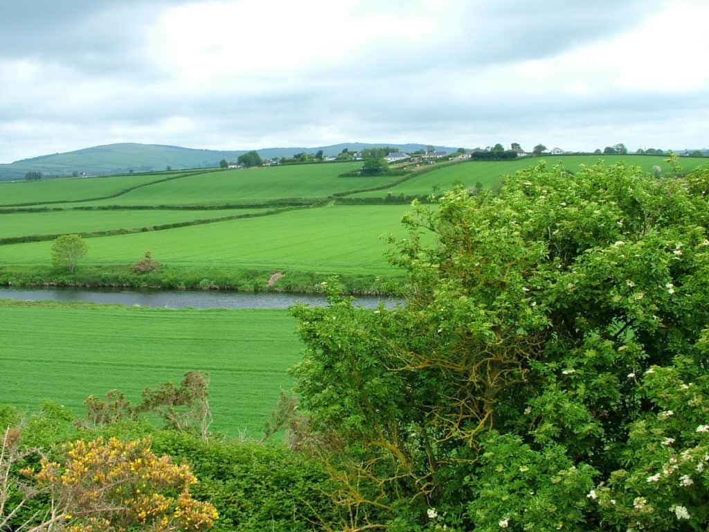 rolling green fields near Wicklow, Ireland
