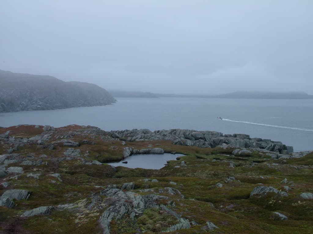 a boat off quirpon island, newfoundland, canada