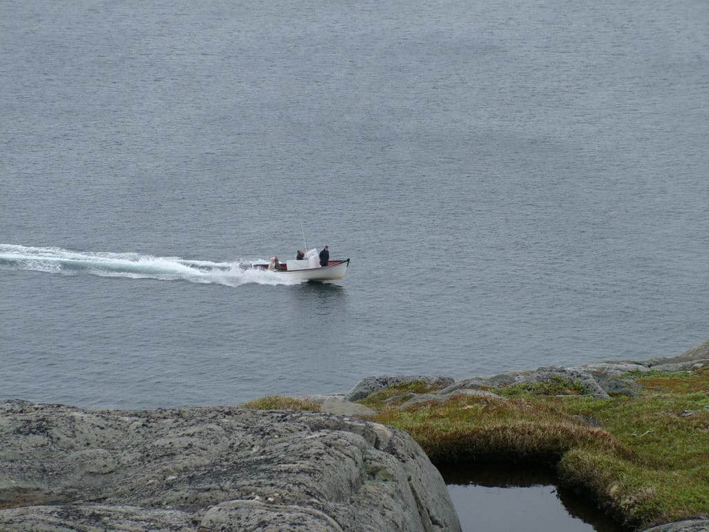 boat arriving at cape bauld, quirpon island, newfoundland, canada