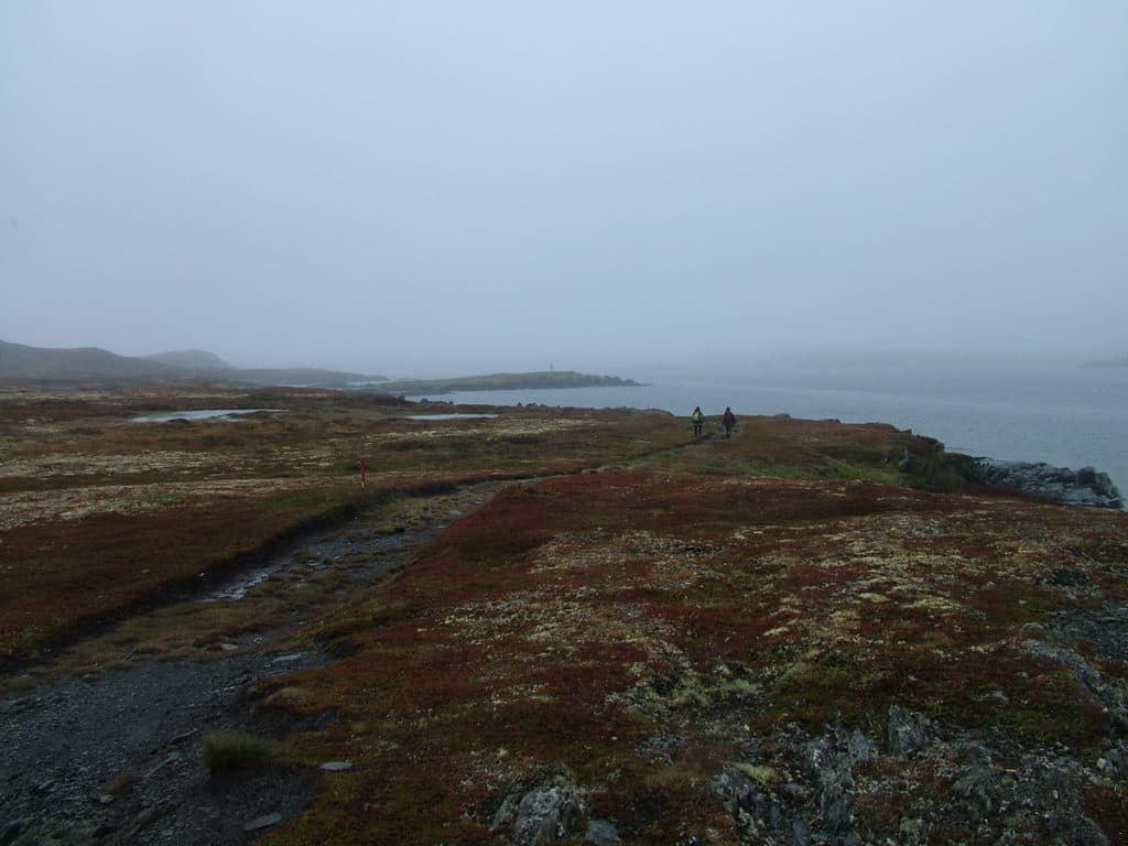 hiking trail on quirpon island, newfoundland, canada