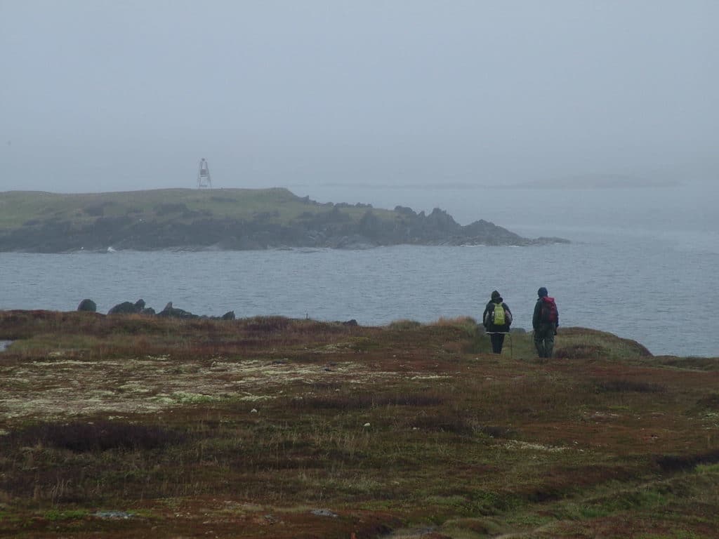 the west side of quirpon island, newfoundland, canada