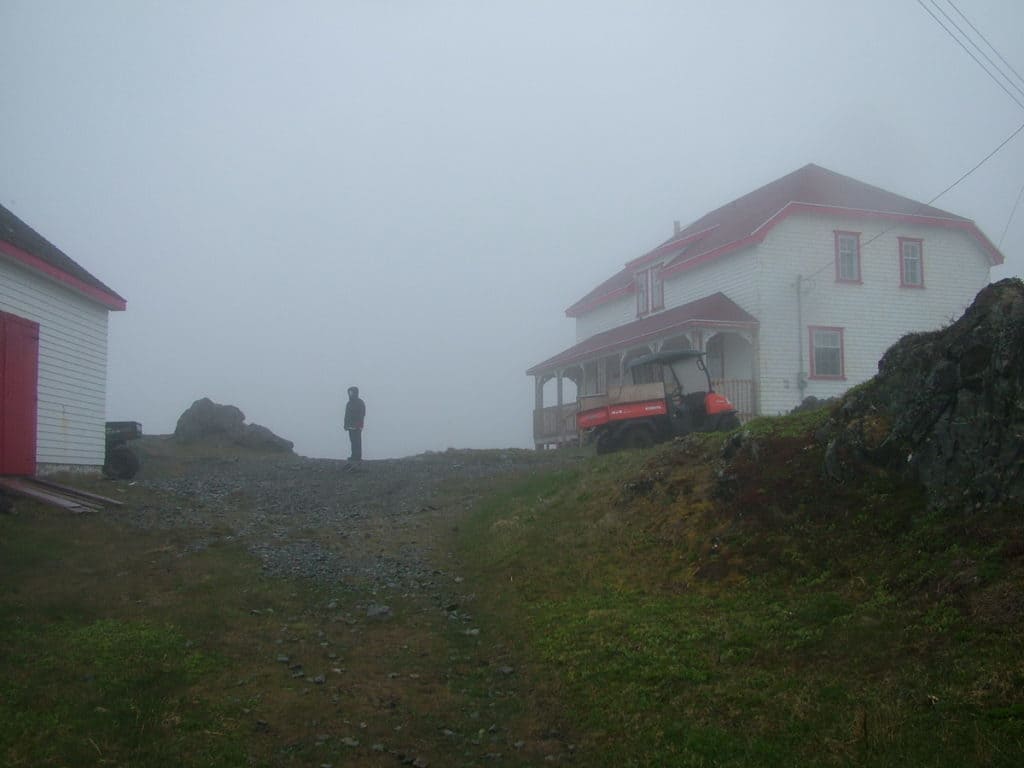 fog on quirpon island, newfoundland, canada