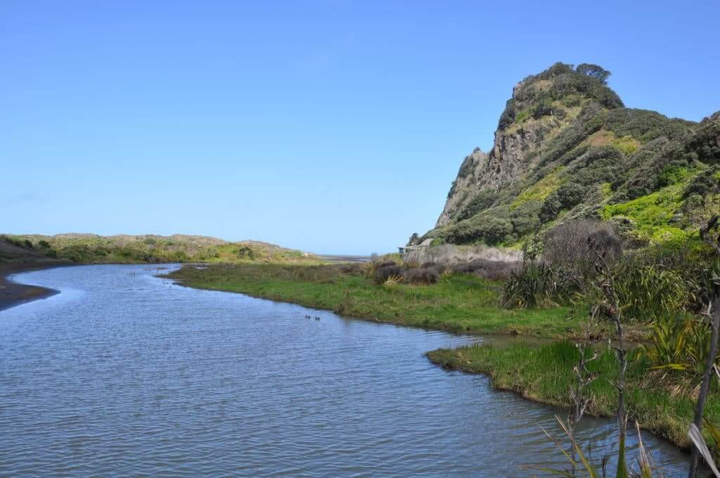 An image of Karekare Stream near Auckland, New Zealand.