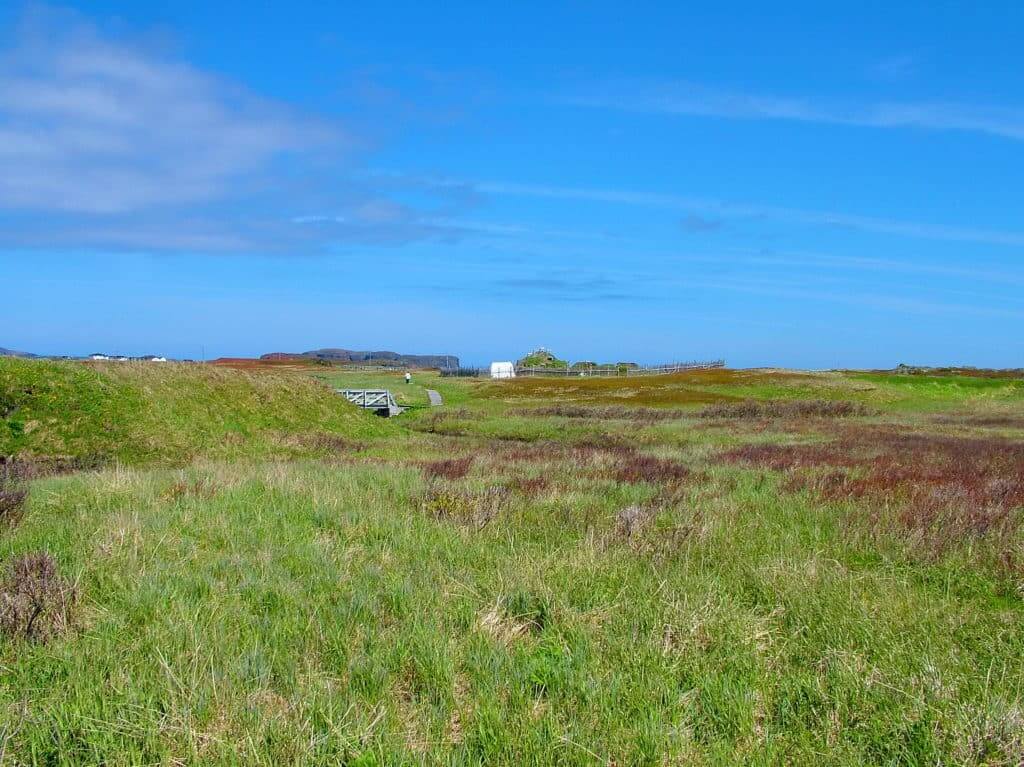 peat bog at l'anse aux meadows unesco world heritage site, newfoundland, Canada