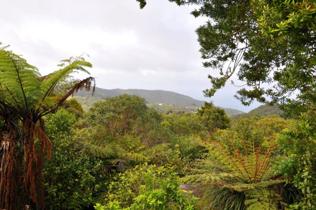 An image of the Waitakere Hills near Auckland, New Zealand.
