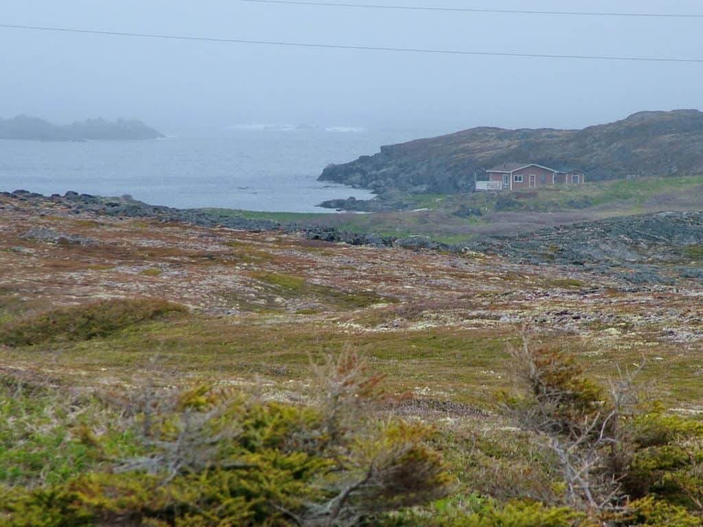 earl pilgrim's cabin on quirpon island, newfoundland, canada 