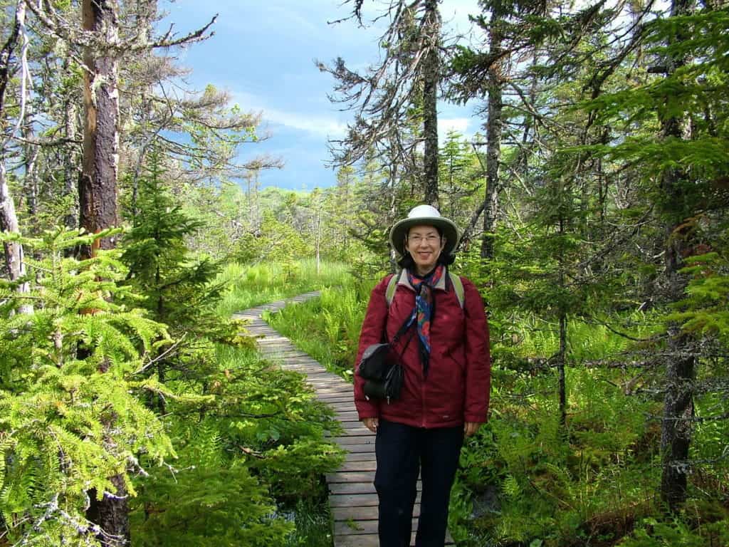 jean along baker's brook falls hiking trail in gros morne national park, newfoundland