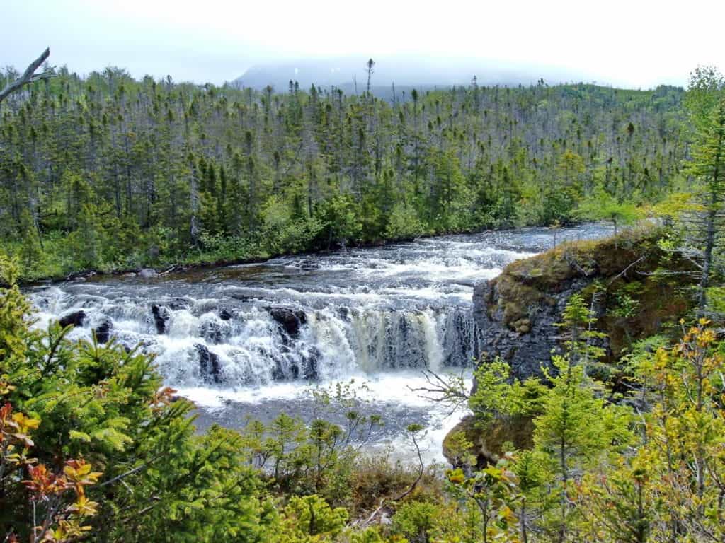 lower cascade of baker's brook falls in gros morne national park, newfoundland