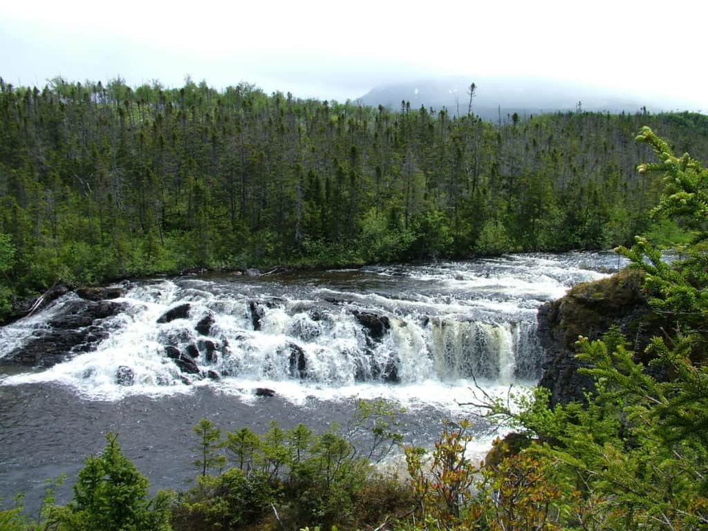 lower cascade of Baker's Brook Falls in gros morne national park, newfoundland