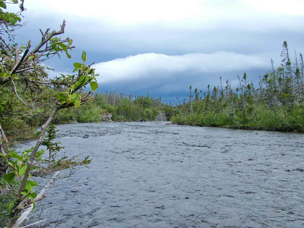 baker's brook below baker's brook falls in gros morne national park, newfoundland