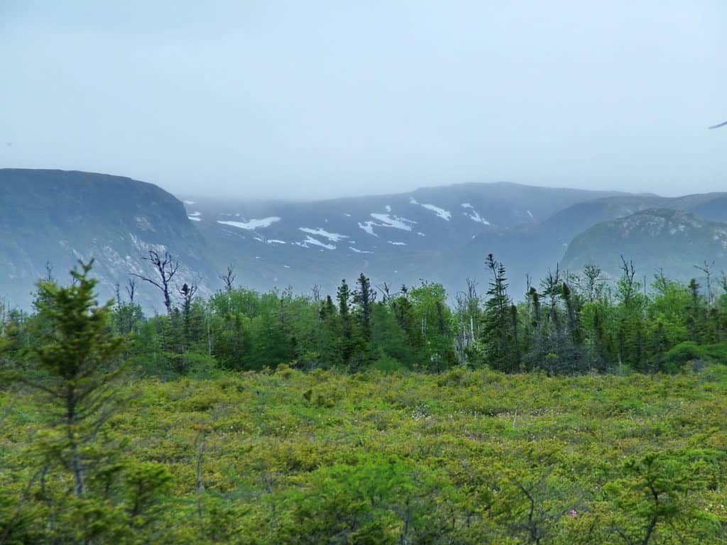 snow-capped mountains along baker's brook falls trail in gros morne national park, newfoundland