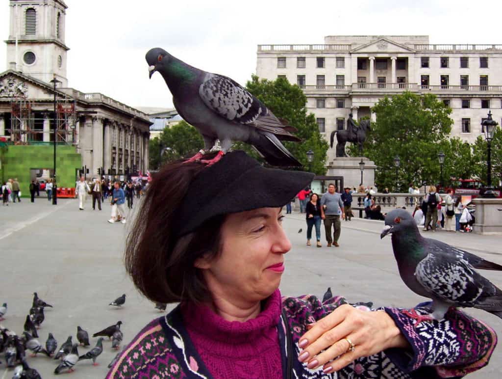 An image of pigeons sitting on a person in Trafalgar Square in London, England.