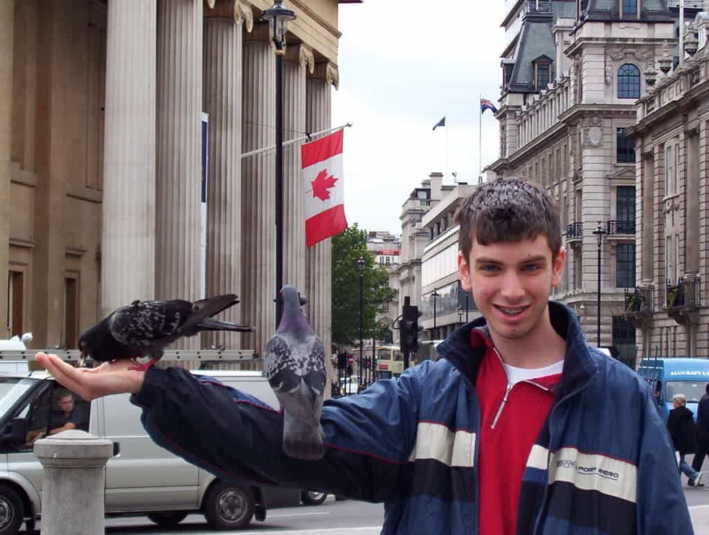 An image of pigeons feeding out of hand in Trafalgar Square in London, England.