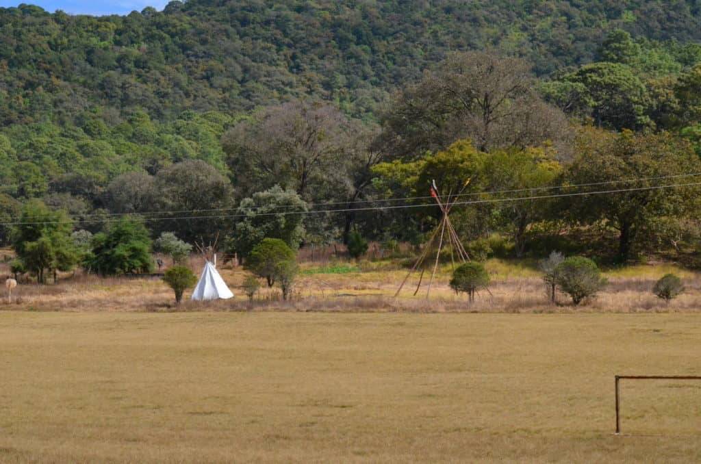 a meadow at rancho la noria near tepic, mexico