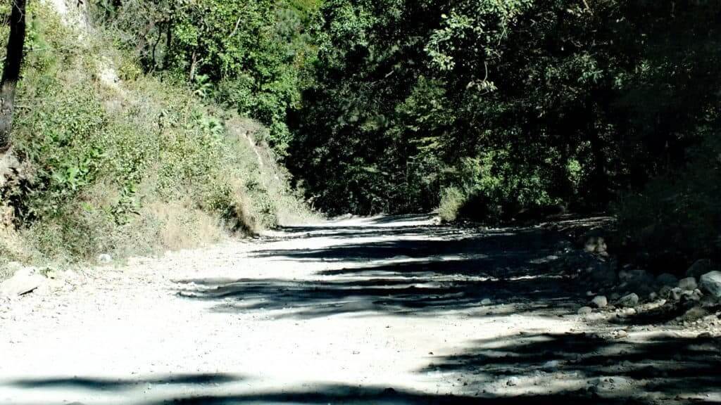 Dirt road at Cerro de San Juan Ecological Reserve, Mexico.