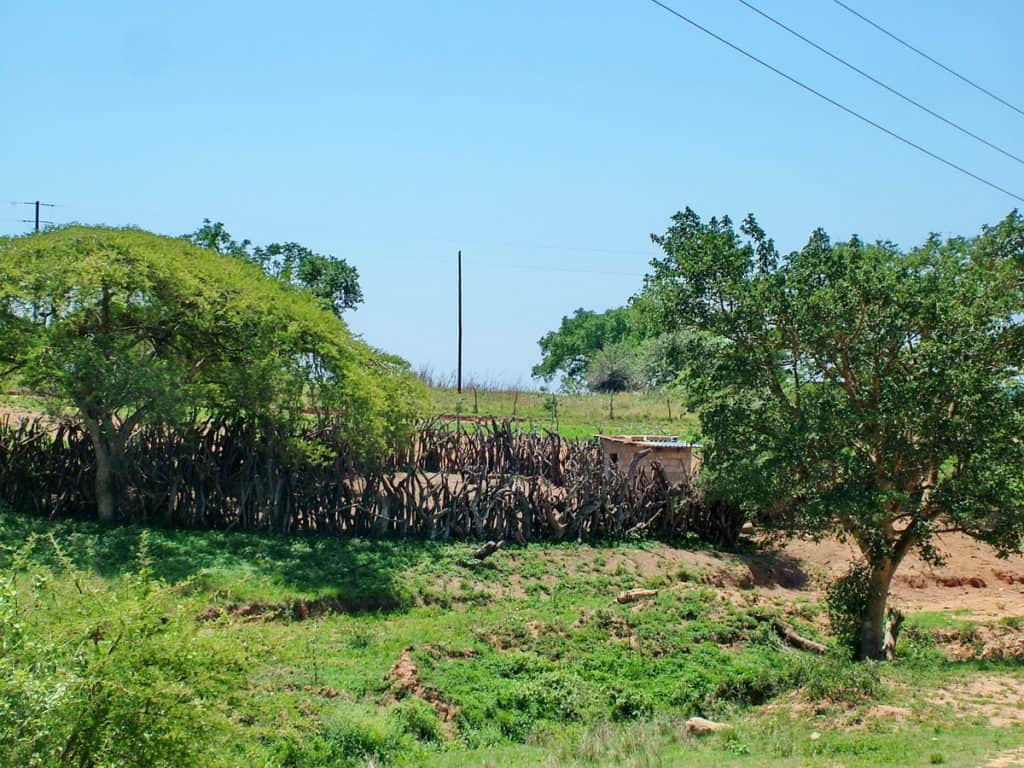 a traditional kraal in swaziland, africa