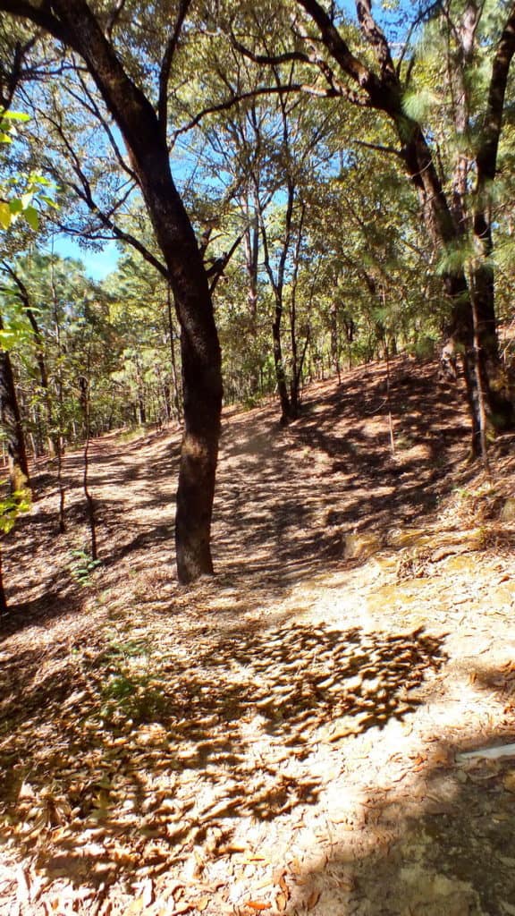 hiking trail in cerro de san juan ecological preserve near tepic, mexico
