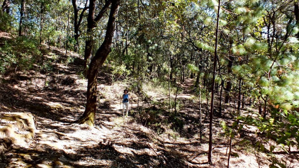 Hiking trail at Cerro de San Juan Ecological Reserve near Tepic, Mexico.