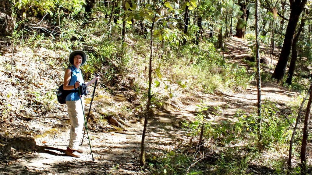Cerro de San Juan Ecological Reserve near Tepic