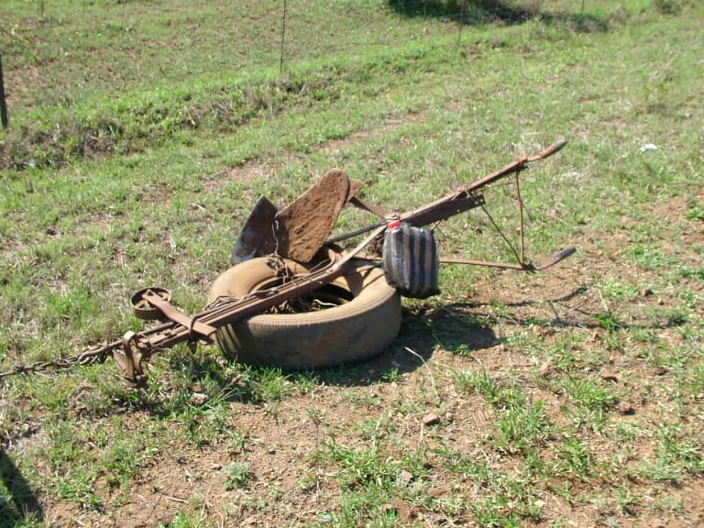 a primitive plough in swaziland, africa