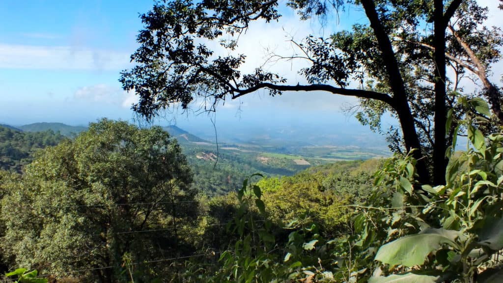 Mountain view in Cerro de San Juan Ecological Reserve, Mexico.