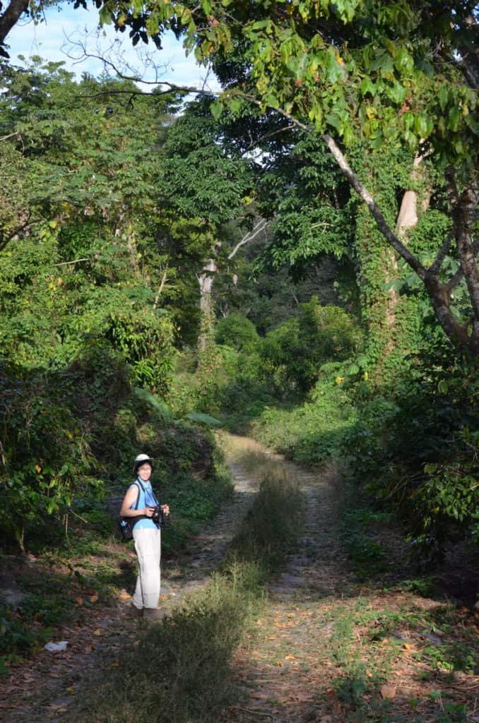 Image of the Camino Real road near La Bajada, Mexico.